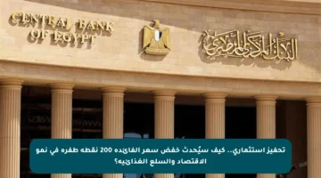 تحفيز استثماري.. كيف سيُحدث خفض سعر الفائدة 200 نقطة طفرة في نمو الاقتصاد والسلع الغذائية؟